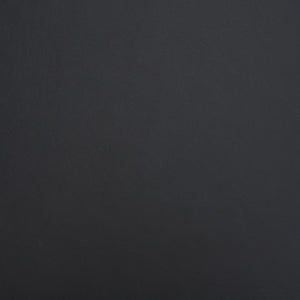 Mercana Reid Modern Mid-Century Armchair with Full-Grain Leather Seat and Handwoven Back for Stylish Comfort Cane | Black Wood 71244