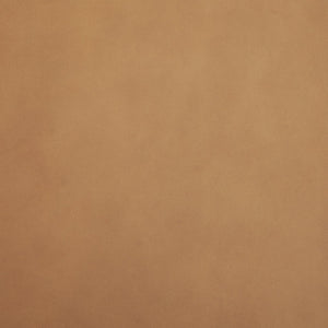 Mercana Abbie Sculpted Modern Dining Side Chair with Curved Back and Tapered Legs for Elegant Comfort 71248