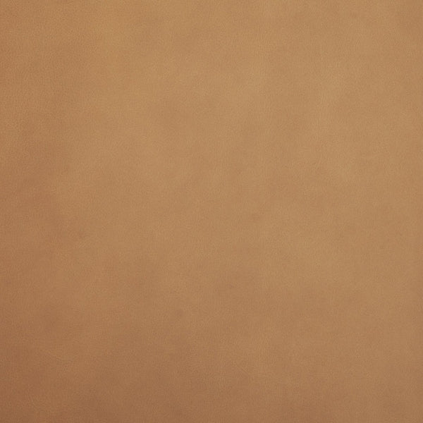 Mercana Abbie Sculpted Modern Dining Side Chair with Curved Back and Tapered Legs for Elegant Comfort 71248