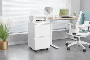English Elm [requires Assembly] Locking Steel File Cabinet Two Drawers Mobile Wheels Home Office Storage T3625P453425