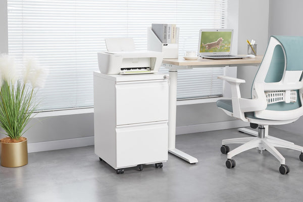 English Elm [requires Assembly] Locking Steel File Cabinet Two Drawers Mobile Wheels Home Office Storage T3625P453425