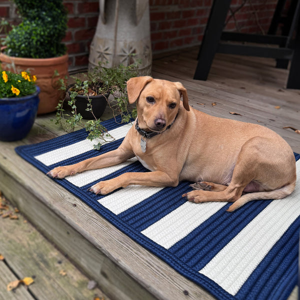 Capel Rugs Timeless Striped Rug - Versatile Indoor/Outdoor Décor For Modern Living Spaces And Patios Navy, White 100% Polypropylene 0160xs11041404480