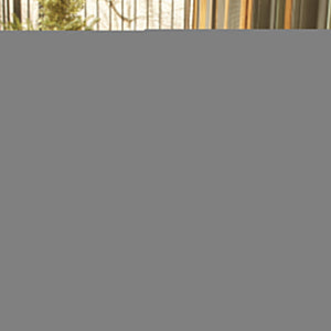 Capel Rugs Timeless Striped Rug - Versatile Indoor/Outdoor Décor For Modern Living Spaces And Patios Camel, White 100% Polypropylene 0160xs00270048700