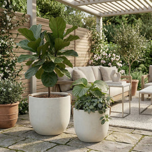 English Elm Round Concrete Sculptural Planter Duo Handcrafted Porous Finish Patio Garden Home W347P465313