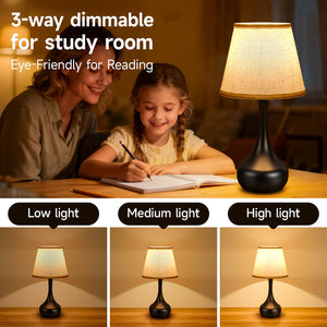 English Elm 3-Way Touch Table Lamps Set of 2 — Dimmable Small Bedside Lamps with Corded Power, Apple Base Design W2312P389968