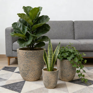 English Elm Large Concrete Style Magnesium Oxide Round Planters Set for Patio and Indoor Decor W5212P434242