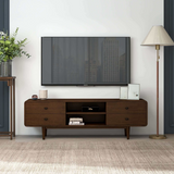 English Elm Ashcroft Furniture - Alexa Mid Century Modern Style Tv Stand