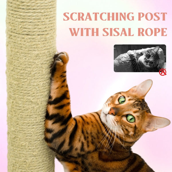 English Elm Flower Cat Tree 5 Level Floral Tower with Condo Hammock and Sisal Scratching Posts W243P451168