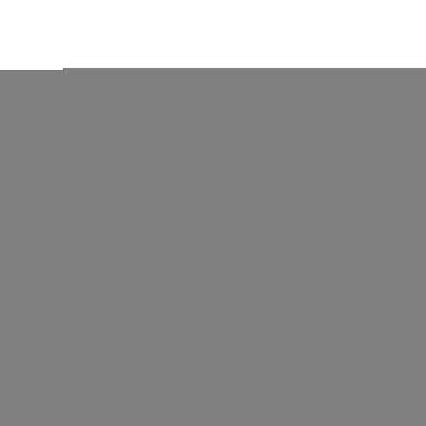 Capel Rugs Stockton Textured Polypropylene Area Rug - Traditional Style With Easy Care & All Weather Performance Medium Green 100% Polypropylene 0224bsk020250