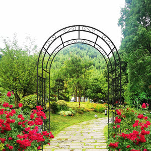 English Elm Metal Garden Arch Powder Coated Steel Frame for Climbing Roses and Pathway Decor W1586P268781