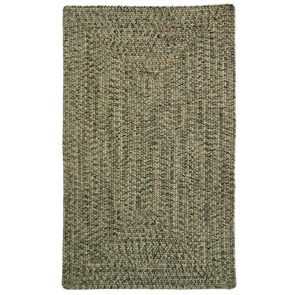 Capel Rugs Dockside Polypropylene Area Rug - Durable, Washable, Fade & Stain-resistant For Outdoor Spaces Palm Leaf 100% Polypropylene 0299qs04000600220