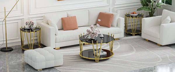 English Elm 31.5inch Modern Luxury Gold Coffee Table with Two-Tier Storage, Tempered Glass Top, Elegant Crown Design Black W1550P171454