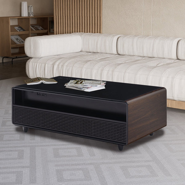 English Elm Modern Smart Coffee Table with Built-in Dual Fridge, Bluetooth Speakers, 15W Wireless Charge, RGB Lights Brown+Black W1172P320210