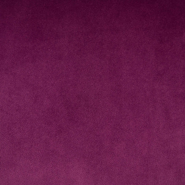 English Elm A&A Elegant Chenille Tufted Office Chair with Hand-Pulled Buttons, Nailhead Trim & Gold Chrome Base Purple W1143P369101