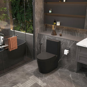 English Elm 1.1/1.6 Gpf Matte Black One-piece Toilet Ada Comfort Height Dual Flush Elongated Bowl T5287P464563