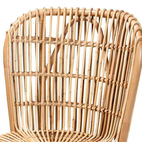 English Elm Bohemian Natural Rattan Accent Chair with Braided Arms for Eclectic Living Rooms B2750P467679