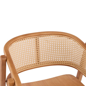English Elm Rattan Mesh Back Rubberwood Arm Dining Chairs Bohemian Coastal Natural Set of 2 N772P415449N