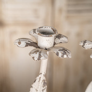 English Elm Vintage Metal Candelabra with Scrollwork Arms and Off-white Patina for Elegant Dining W2946P243906