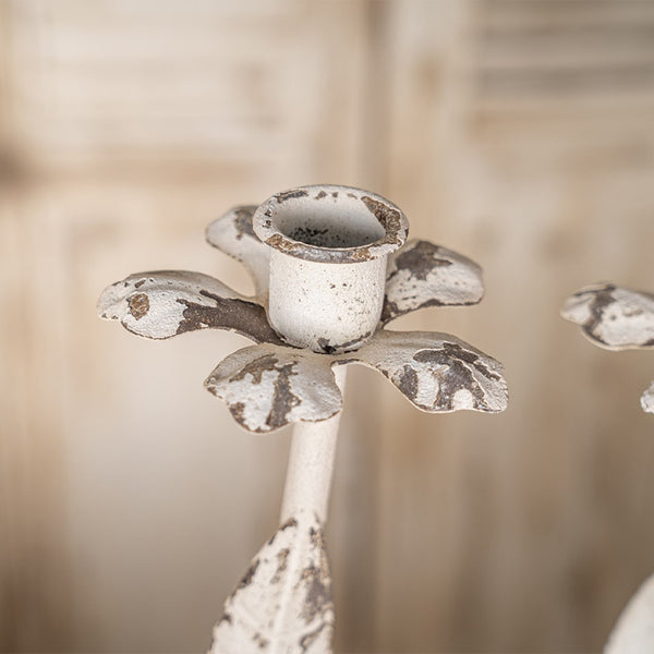 English Elm Vintage Metal Candelabra with Scrollwork Arms and Off-white Patina for Elegant Dining W2946P243906