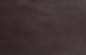 English Elm Pino Vintage Brown Top Grain Leather Accent Chair with Buttoned Camelback, Nail-Head Trim, Toss Pillow B2726P242448