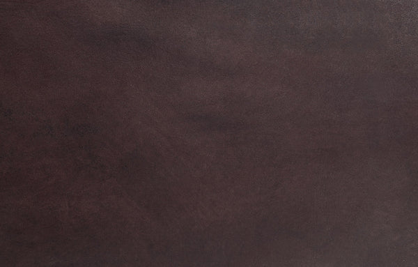 English Elm Pino Vintage Brown Top Grain Leather Accent Chair with Buttoned Camelback, Nail-Head Trim, Toss Pillow B2726P242448