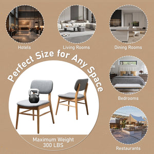 English Elm Christopher Knight Home® - Set Of 2 Mid-Century Upholstered Dining Chairs - Stylish Rubberwood Frame, Natural & Gray Finish N759P307029L