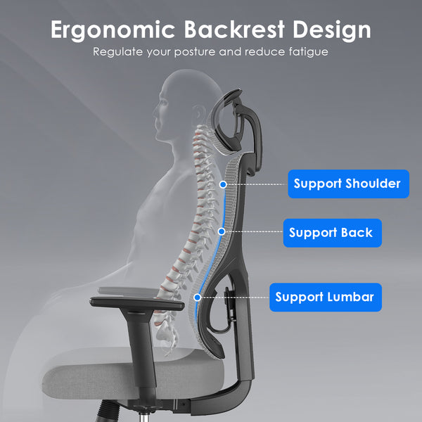 English Elm Ergonomic Office Chair – Adjustable Mesh Desk Chair With Lumbar Support, 3D Armrests & Headrest T3623P380844