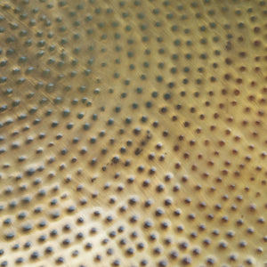 Larache Coffee Table Gold 109750 Zuo Modern