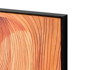 Sunpan CANYON Abstract Wall Art - 48" Modern Decor with Black Floater Frame for Striking Visual Impact II A0421
