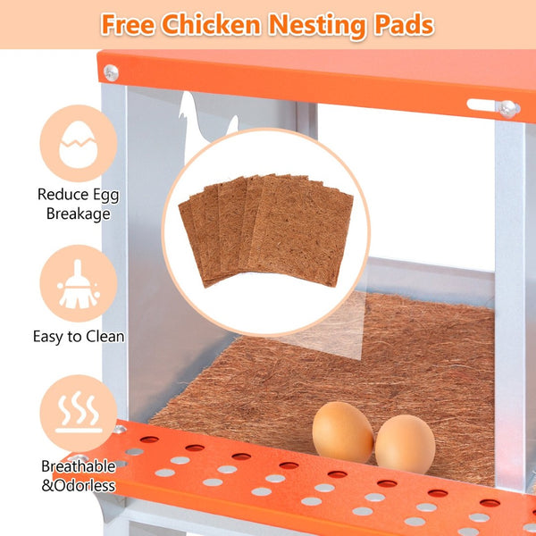 English Elm 8-bay Galvanized Steel Wall Mount Nesting Box for Backyard Hens with Vented Design W1422P355411