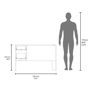 English Elm Desk, Modern White Engineered Wood 2-Drawer Office Desk 47.2" W Storage Surface for Home Workspaces B097P369441