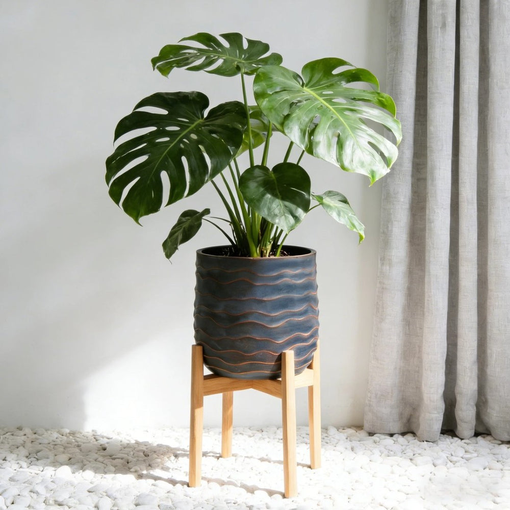 English Elm Large Concrete Texture Magnesium Oxide Round Planters Duo Indoor Outdoor Patio W5212P434275
