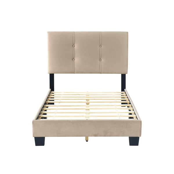 English Elm 1pc Twin Platform Bed Velvet Upholstered Button-Tufted Headboard Adjustable Height Low-Profile Solid Wood Frame 42" x 79.5" Light Brown 44.5 L x 26 W x 5 H B011P203575