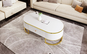 English Elm Modern Oval Coffee Table with Drawers and Gold Base, High-Gloss White Finish, Durable 47.2" Centerpiece N735P192897K
