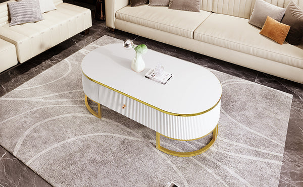 English Elm Modern Oval Coffee Table with Drawers and Gold Base, High-Gloss White Finish, Durable 47.2" Centerpiece N735P192897K