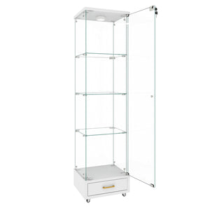 English Elm Modern Glass Display Cabinet With Led Lights, Quick-Assembly 4-Shelf Storage For Collectibles & Decor W241P268239