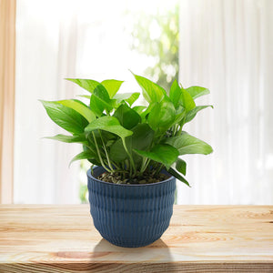 English Elm 4 Pieces Ceramic Flowerpot Set with Hand-Glazed Finish, Precision Molded Planters for Patio Decor Antique Blue W3273P321572