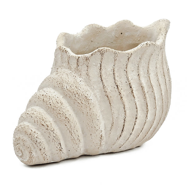 English Elm 11.5x7x7" Nautilus Shell Planter in Textured Sandy Beige — Coastal Conch Design for Succulents, Herbs, Décor W2078P334252