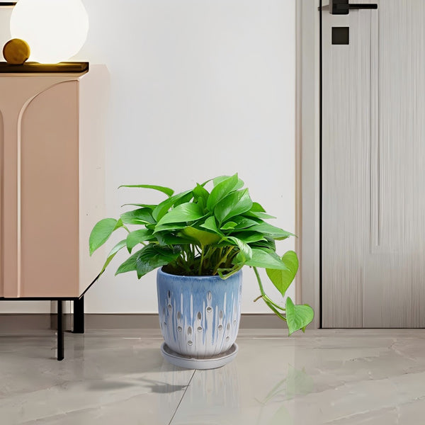 English Elm Set Of 2 Stylish Ceramic Flowerpots With Drainage Holes - Modern Indoor/Outdoor Planters For Home Decor W3273P322554-GIGA