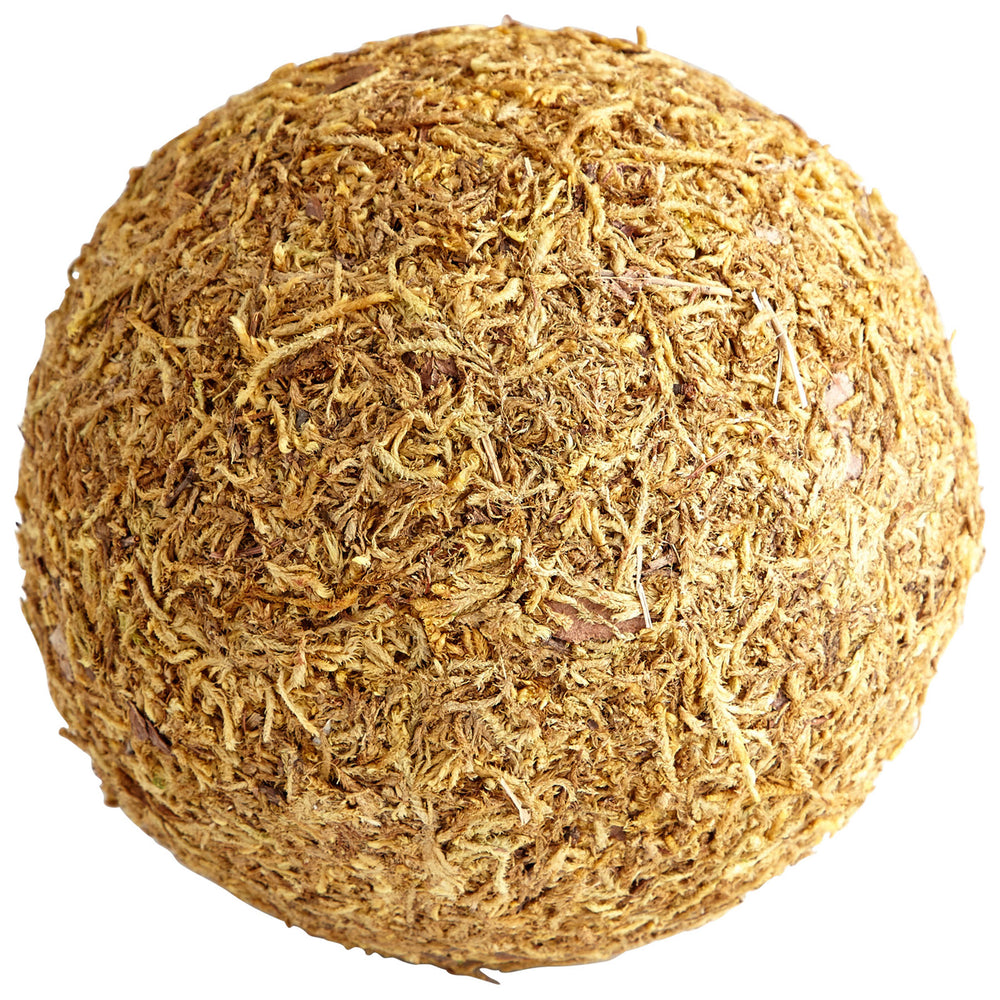 St. Augustine Filler Brown Moss 07294 Cyan Design