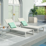 Christopher Knight Home® Outdoor Aluminum Chaise Lounges Set, 2-Piece with Mesh Seating