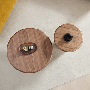 English Elm 2-piece Nesting Round Coffee Table Set Wood Veneer Sculptural Living Room Accent Walnut W2582S00184