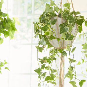 Selena Vase Natural Stone 08733 Cyan Design