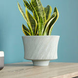 Selena Slab Planter Oyster Blue 08736 Cyan Design