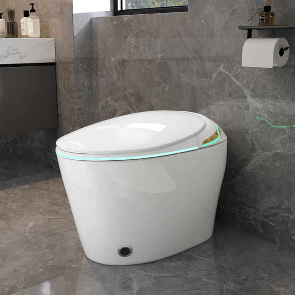 English Elm Unique Smart One Piece Toilet Bidet Heated Seat Auto Flush Warm Air Dryer Spa W3133P384811