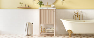 English Elm 20-inch French Style Bathroom Vanity with Integrated Ceramic Sink, Carved Accents & Soft-Close Door Cream White N710P330975Y