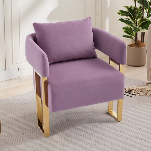 English Elm TS Modern decorative chair Lilac - Teddy fleece velvet 2PCs, gold legs, ergonomic sponge comfort, chic W2311P333677