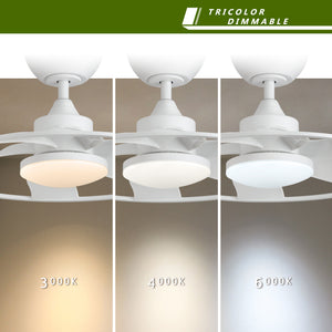 English Elm Light Pro 22-Inch Led Smart Ceiling Fan With Energy-Efficient Dc Motor For Compact Spaces T3177P284011