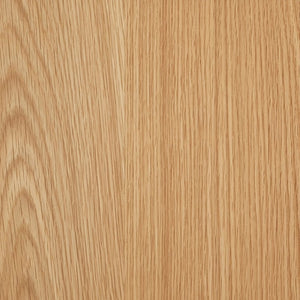 EuroStyle Abby Lacquered Coffee Table Low Profile Modern Design for Contemporary Living Rooms Oak 09704-OAK