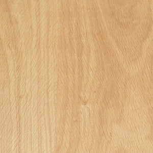 EuroStyle Abby 63 Inch Gloss Lacquer Rectangular Dining Table Seats 6 for Modern Spaces Oak 09778-OAK-KIT